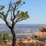 Bryce National Park